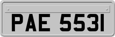 PAE5531