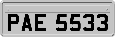 PAE5533