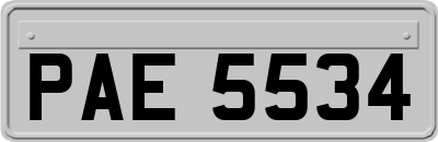 PAE5534