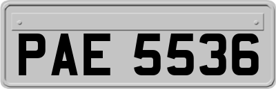PAE5536