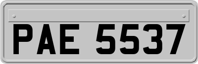 PAE5537