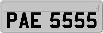 PAE5555