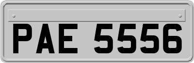 PAE5556