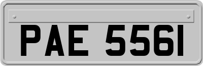 PAE5561