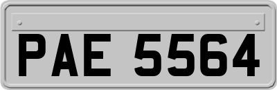 PAE5564
