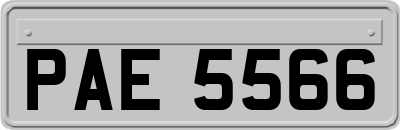 PAE5566