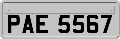 PAE5567