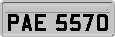 PAE5570
