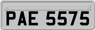 PAE5575