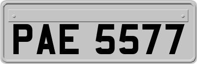 PAE5577