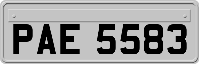 PAE5583