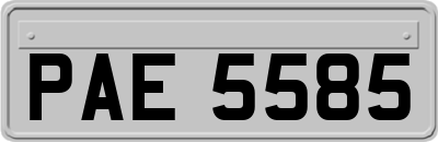 PAE5585
