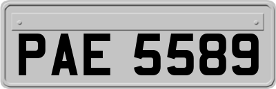 PAE5589