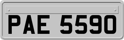 PAE5590