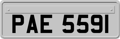 PAE5591