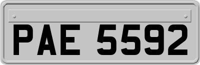 PAE5592