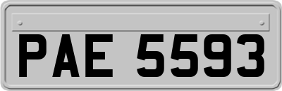 PAE5593