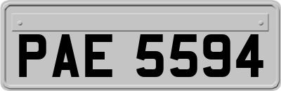 PAE5594