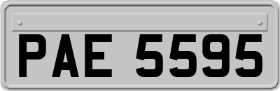 PAE5595