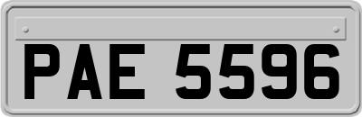 PAE5596