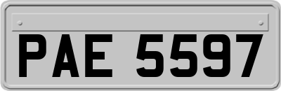 PAE5597