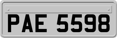 PAE5598