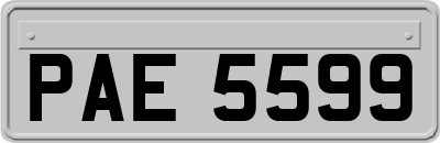 PAE5599