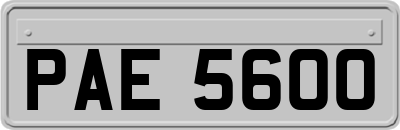 PAE5600