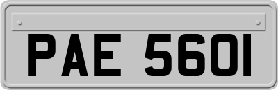 PAE5601