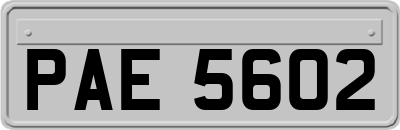 PAE5602