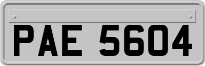 PAE5604