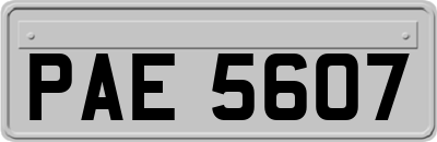 PAE5607