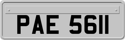 PAE5611