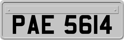 PAE5614