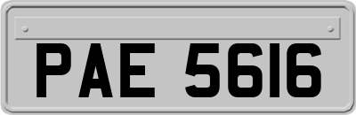 PAE5616