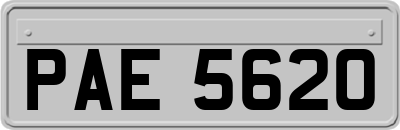 PAE5620