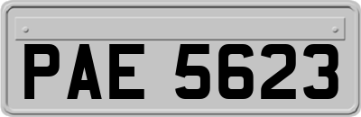 PAE5623