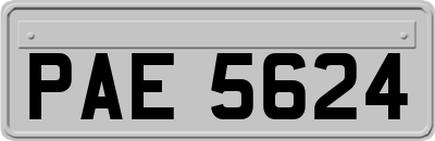 PAE5624