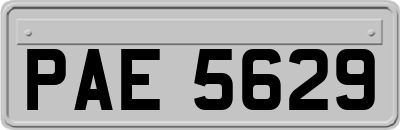 PAE5629