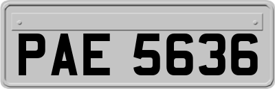 PAE5636