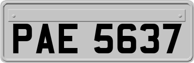PAE5637