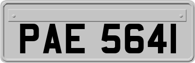 PAE5641