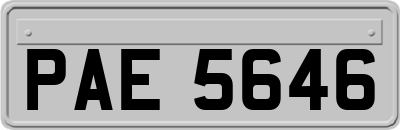 PAE5646