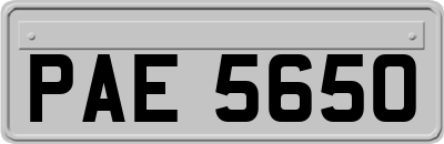 PAE5650