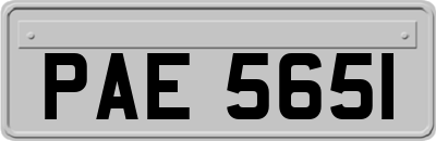PAE5651
