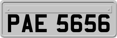 PAE5656