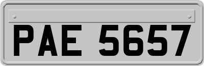 PAE5657