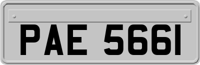 PAE5661