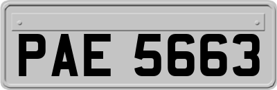 PAE5663