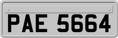 PAE5664